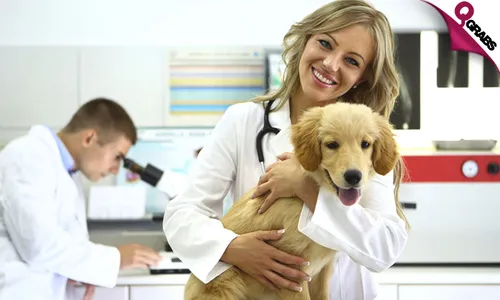 Veterinary Support Assistant Online Course!
